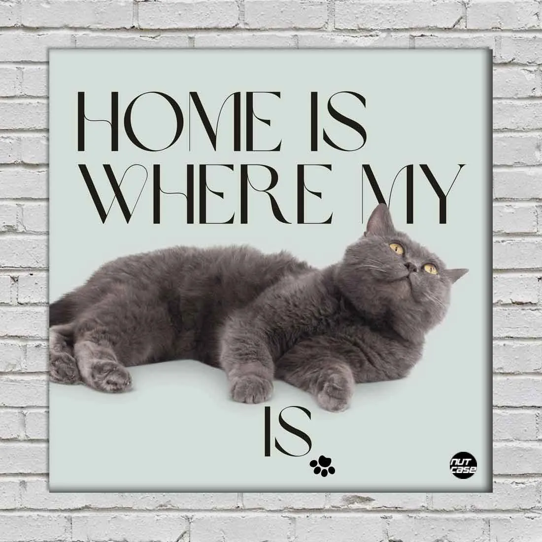 Cat Wall Décor for Home Pet Lovers