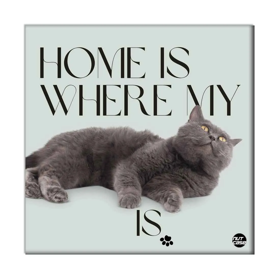 Cat Wall Décor for Home Pet Lovers