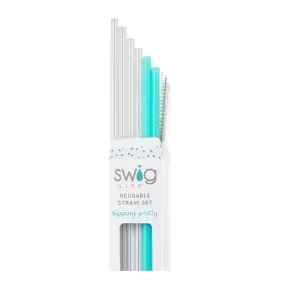 Clear and Aqua Reusable Straw Set (Tall)