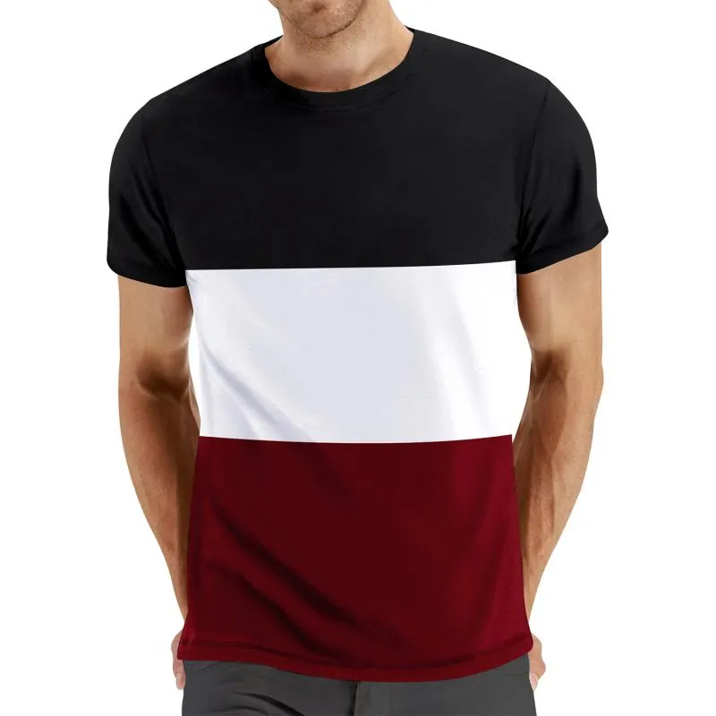 Men's Colorblock Round Neck Short Sleeve Casual T-shirt 44715255Z