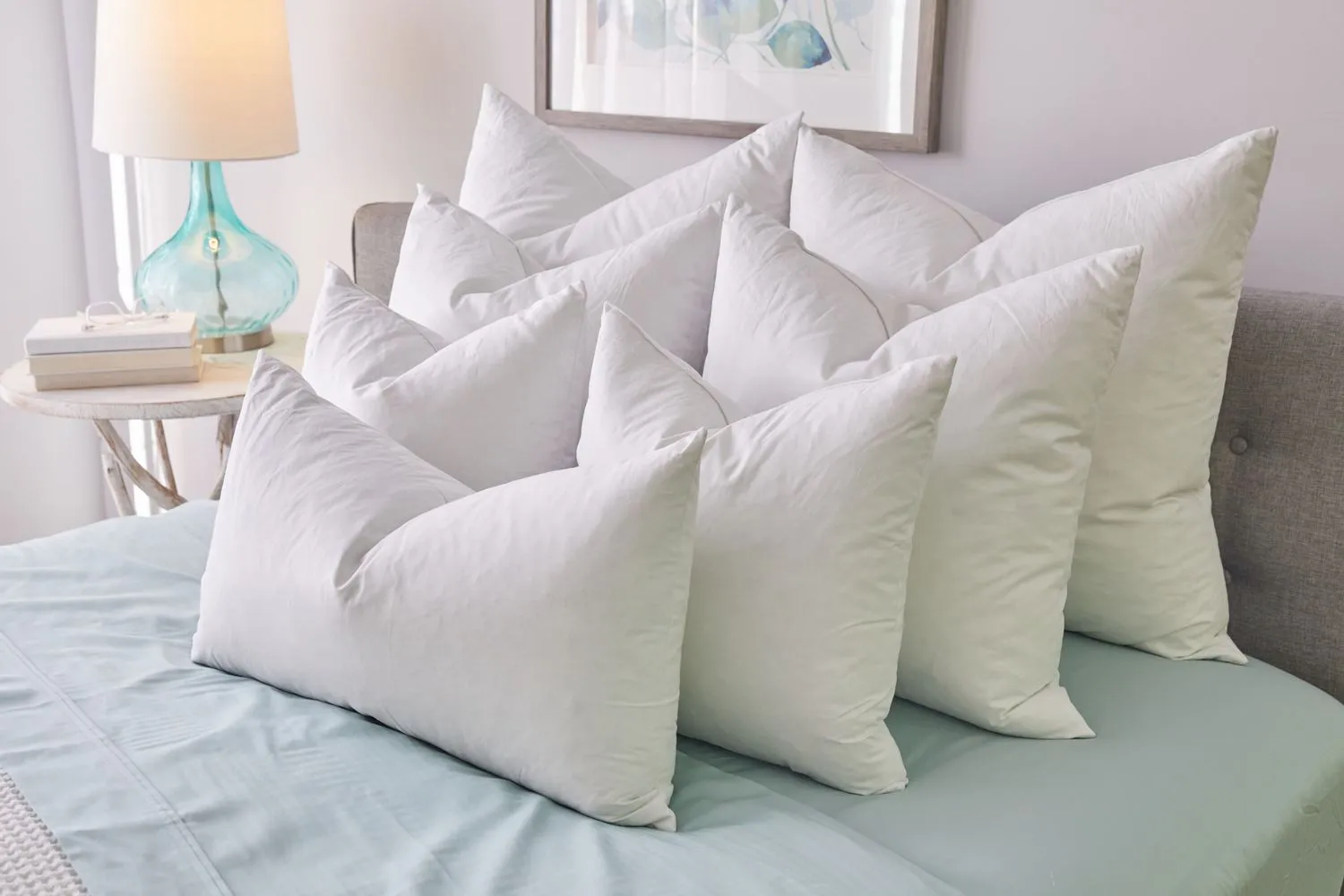 Pillow Inserts - Set of 2