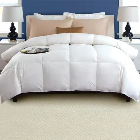 W Home - Cotton Comforter